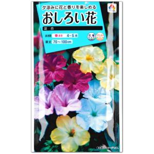 おしろい花 種子 混合 4ml（育苗可能本数：およそ10本)