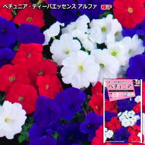 なえ屋の羽場 ペチュニア 花 芝草 緑肥 Yahoo ショッピング