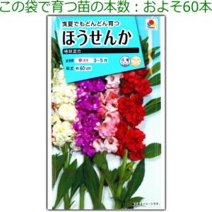 ほうせんか 種子 椿咲混合 1.5ml(育苗可...の詳細画像2