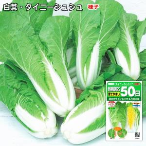 ミニ白菜 種子 タイニーシュシュ 2ml （粒数目安およそ300粒)