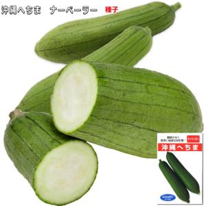食用ヘチマ ・沖縄へちま 種子 10ml ナーベーラー