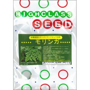 Moringa モリンガ わさびの木 マルンガ...の詳細画像1