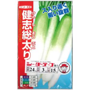 だいこん 種子 健志総太り(けんしそうぶとり) ...の商品画像
