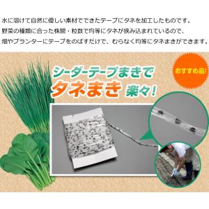 だいこん 種子 健志総太り(けんしそうぶとり)...の詳細画像4