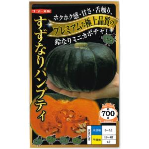 ミニカボチャ 南瓜 種子 すずなりパンプティ 6粒 かぼちゃ｜naeyanohaba