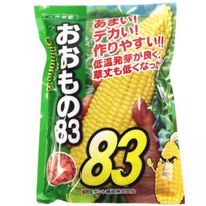 大特価！】野菜の種/種子 おおもの・とうもろこし・スイートコーン