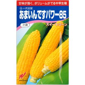 トウモロコシ 種子 スイートコーン あまいんですパワー85 　　200粒 とうもろこし