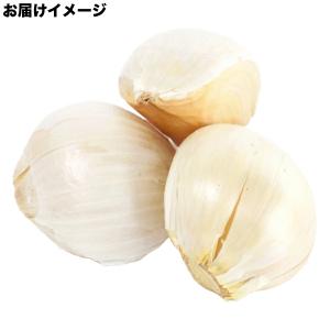 ジャンボ にんにく リン片種子 500g前後(...の詳細画像2