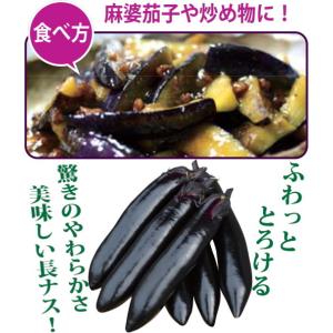 実生 なす ふわとろ長 10.5cmポット苗 茄子の詳細画像4