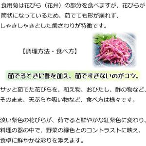 食用菊 9cmポット苗 ピンク色の詳細画像4