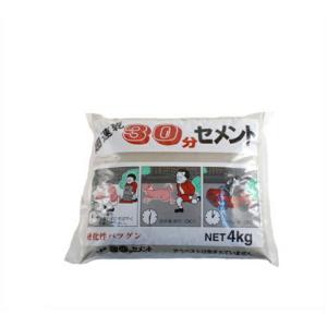 30分セメント4kgグレー