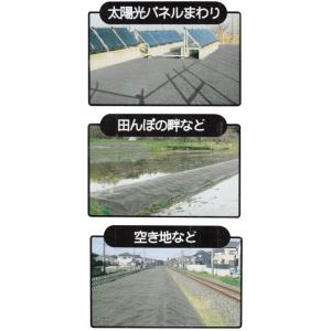 ナフコ 不織布 強力防草シート(黒) 1×10mの詳細画像4