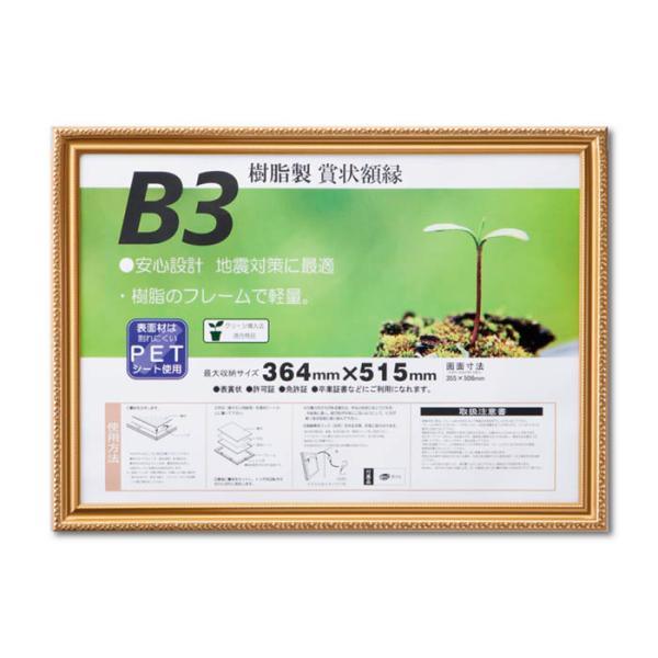 大仙 賞状額 金消R B3