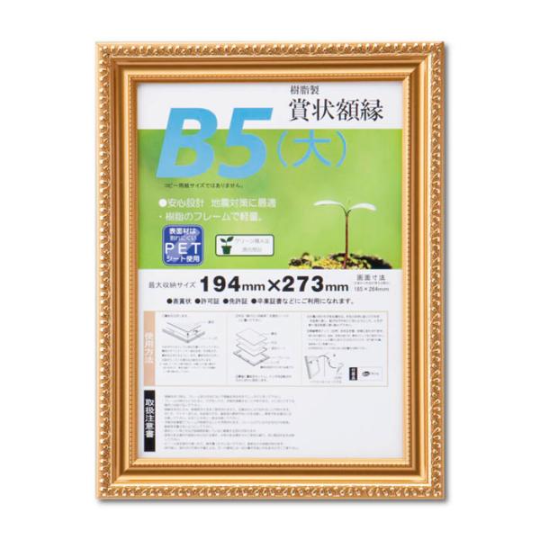 大仙 賞状額 金消R B5(大)