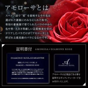 翌営業日出荷 プリザーブドフラワー アモローサ...の詳細画像5