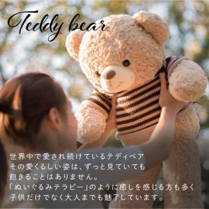 テディベア くま ぬいぐるみ キーホルダー 誕...の詳細画像3