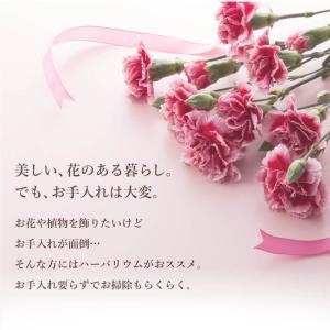 翌営業日出荷 花 ハーバリウム おしゃれ メッ...の詳細画像2