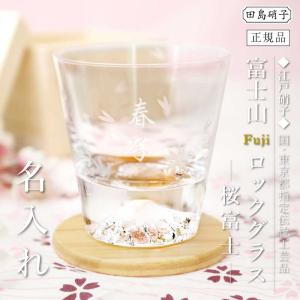 バカラ（Baccarat） プレート アラベスク プレート 24cm 1732505