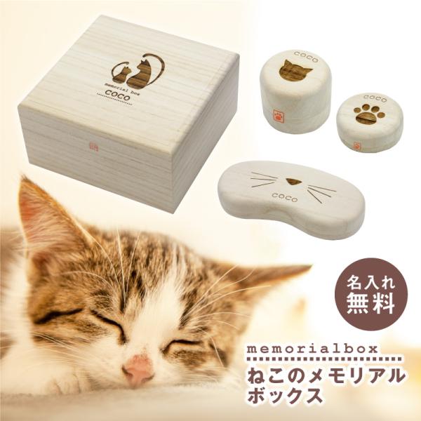 猫のひげ ケース 猫ひげケース 猫好き 愛猫 ねこ ネコ ペット グッズ ひげ ヒゲ 毛玉 乳歯 保...