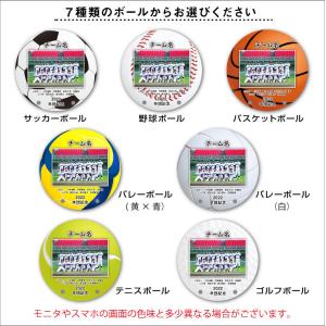 卒団記念品 野球 サッカー 監督フォトスタンド...の詳細画像4