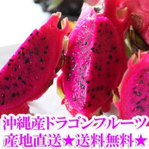 沖縄産 ドラゴンフルーツ 2.0kg前後（レッドピタヤ）2.0kg前後（4-8個）