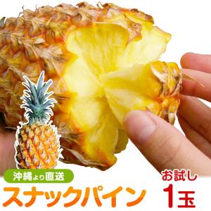 沖縄 フルーツ キーツマンゴー 約1.0kg（1〜3個程度）ギフト用 化粧箱
