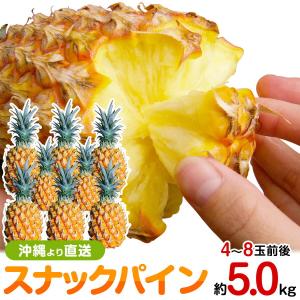 最高級パイン！ゴールドバレル パイン 10kg5〜10玉 石垣島産