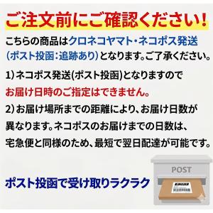 エイサー衣装 サージ2.7mロックあり(モス布...の詳細画像4