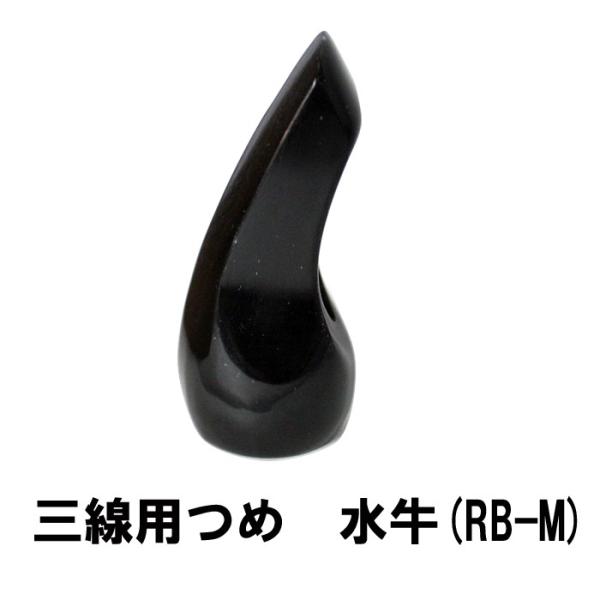 三線用 つめ 水牛 RB-M 高さ66mm x 底辺23mm