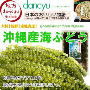 海ぶどう 沖縄産 100g 天皇杯受賞(クビレ...の詳細画像1
