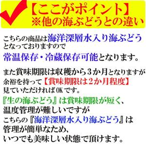 海ぶどう 沖縄産 100g 天皇杯受賞(クビレ...の詳細画像3