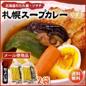 スープカレー　素　ソラチ　札幌スープカレーの素　10袋（10食分）　　