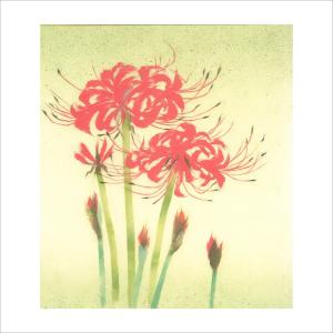 ちぎり絵　紅花モチーフ 和紙のちぎり絵キット 春 「 花鳥風月 No.006 ポピー 」 色紙サイズ 約