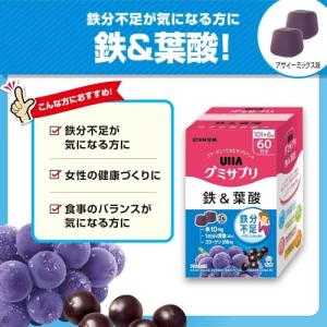 UHA味覚糖 グミサプリ 鉄&葉酸 6...の詳細画像1