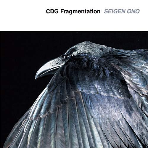 CDG Fragmentation(CD) - SEIGEN ONO