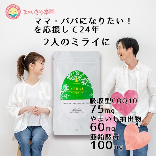 妊活 不妊 タンポポQ10ミライ２か月分 120粒  ミトコンドリア コエンザイムq10 亜鉛 ジオ...