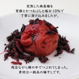 長生き屋商店 梅干し かつお 訳あり 南高梅 ...の詳細画像5