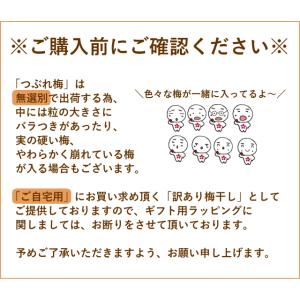長生き屋商店 梅干し しそ 訳あり 南高梅 つ...の詳細画像2