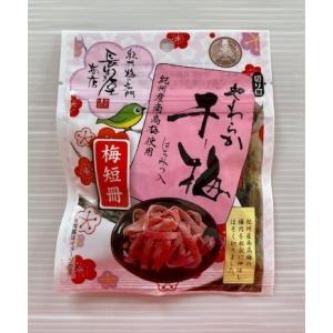 長生き屋商店 干し梅 国産 南高梅 やわらか干し梅 梅短冊 はちみつ 15g 梅シート ポケットサイズ 塩分14%