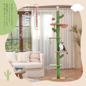 送料無料 キャットタワー 突っ張り サボテン ...の詳細画像1