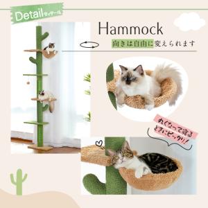 送料無料 キャットタワー 突っ張り サボテン ...の詳細画像3