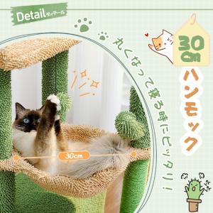 キャットタワー ミニ 猫タワー サボテン 小型 低め 据え置き 高さ80cm Amazon | PAWZ Road キャットタワー ミニ 猫タワー サボテン