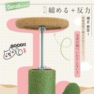 キャットタワー 突っ張り サボテン スリム 太...の詳細画像4