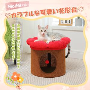 送料無料 猫 ベッド 猫ハウス ドーム ちぐら...の詳細画像1