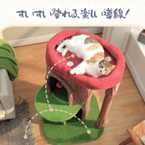送料無料 キャットタワー 大型猫用 ワイド 大...の詳細画像4