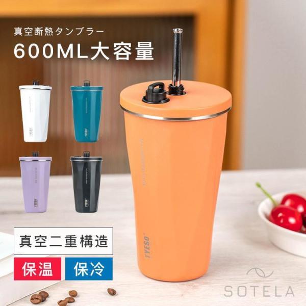 タンブラー 水筒 ストロー付き 600ml 蓋付き 大容量 真空断熱 保温 保冷 持ち運び マグボト...