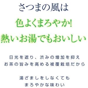 2025年度産 茶葉 お茶 緑茶 鹿児島茶 さ...の詳細画像2