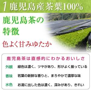 2025年度産 茶葉 お茶 緑茶 鹿児島茶 さ...の詳細画像3