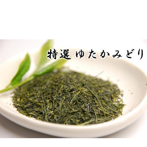 お茶 緑茶 鹿児島茶 2024年度産 特選ゆたかみどり100ｇ