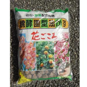 発酵固形油かす　花ごころ　大粒　3kg(tuti-7)｜nagamineshouten